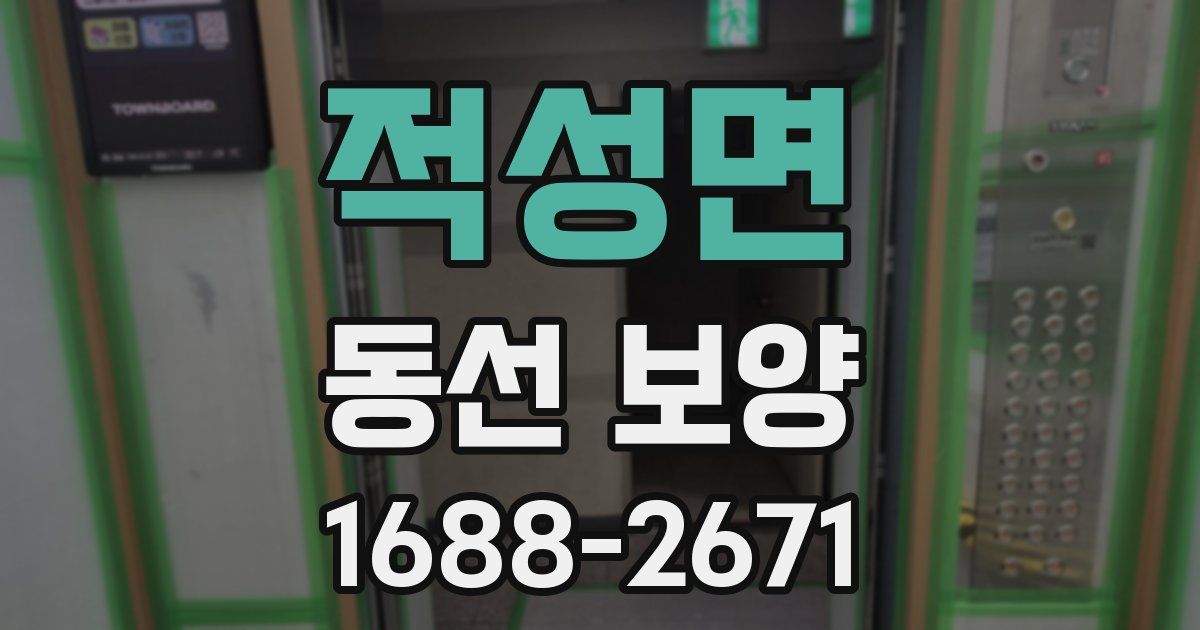 적성면 동선 보양