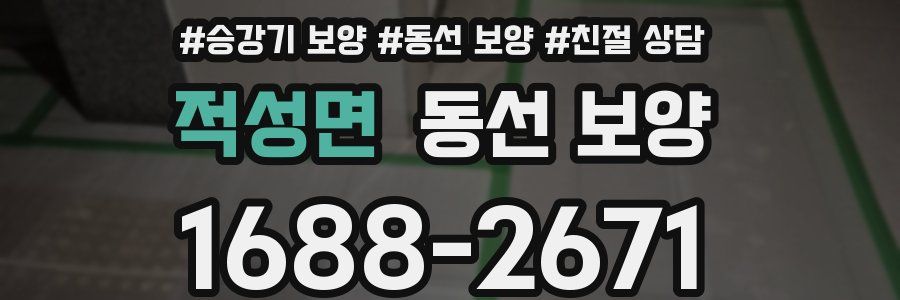 적성면 동선 보양