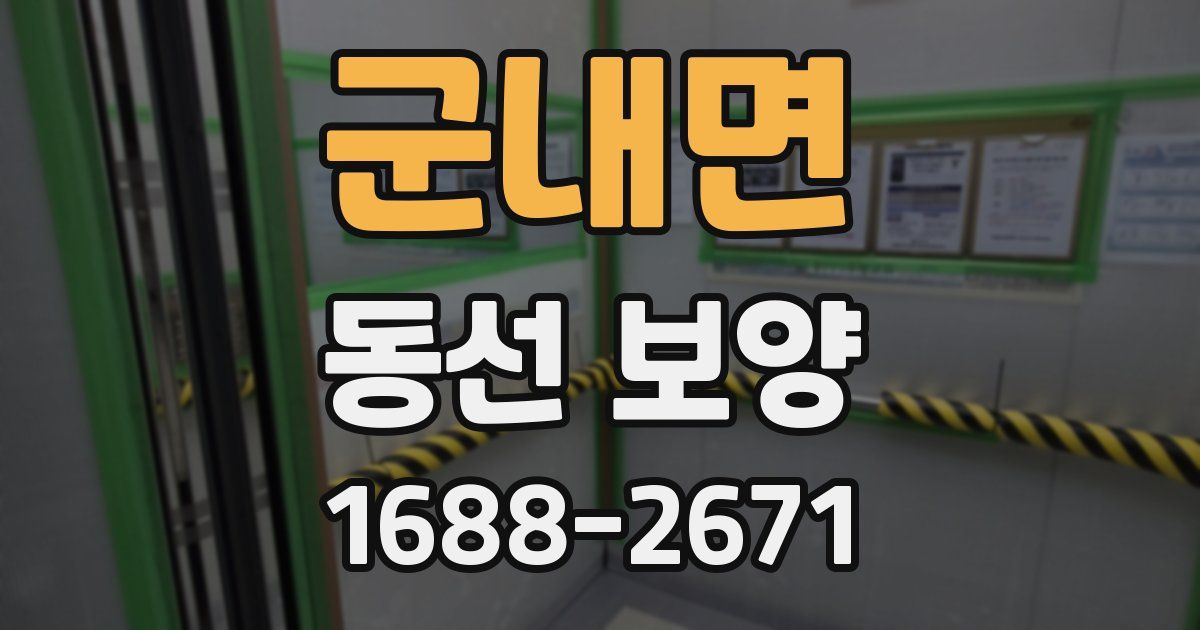 군내면 동선 보양