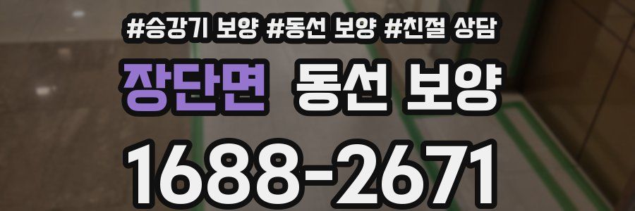장단면 동선 보양