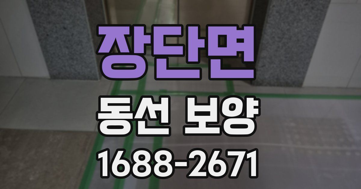 장단면 동선 보양