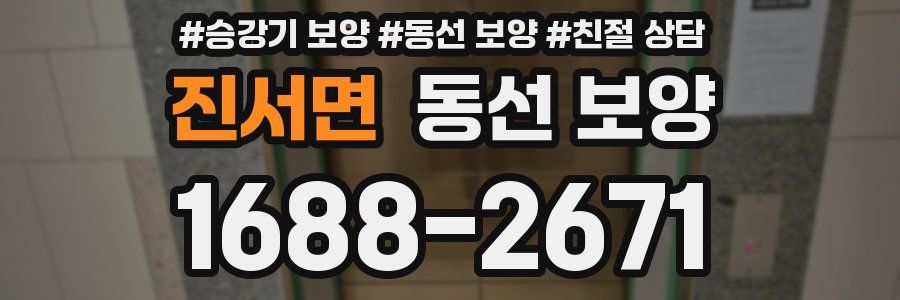 진서면 동선 보양