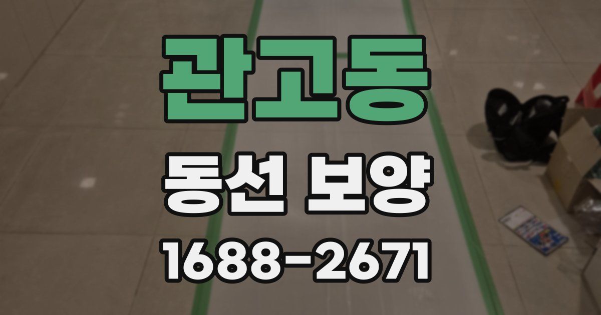 관고동 동선 보양