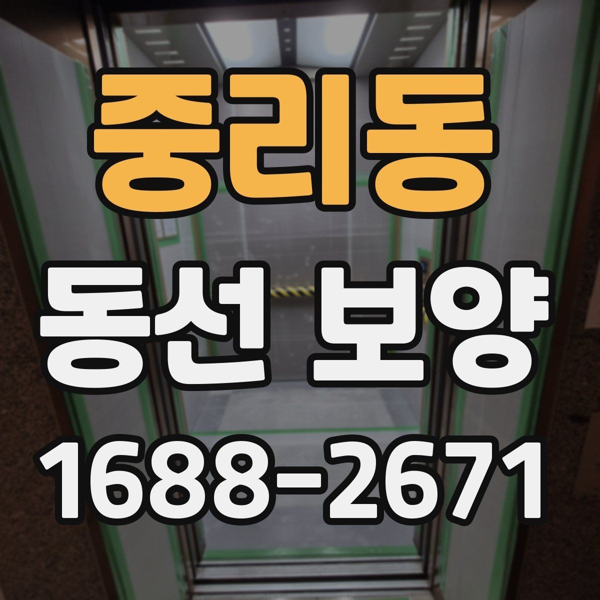 중리동 동선 보양 현장 적용 사례와 작업 노하우