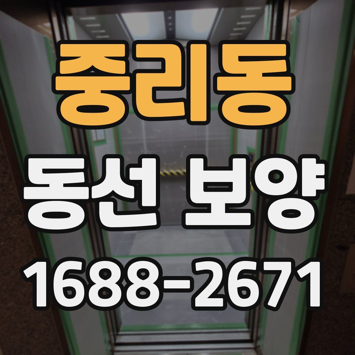 중리동 동선 보양