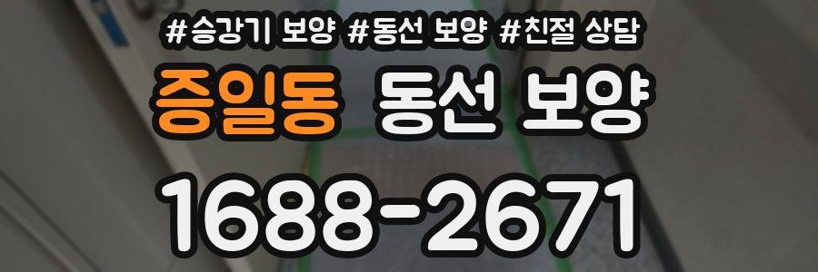 증일동 동선 보양