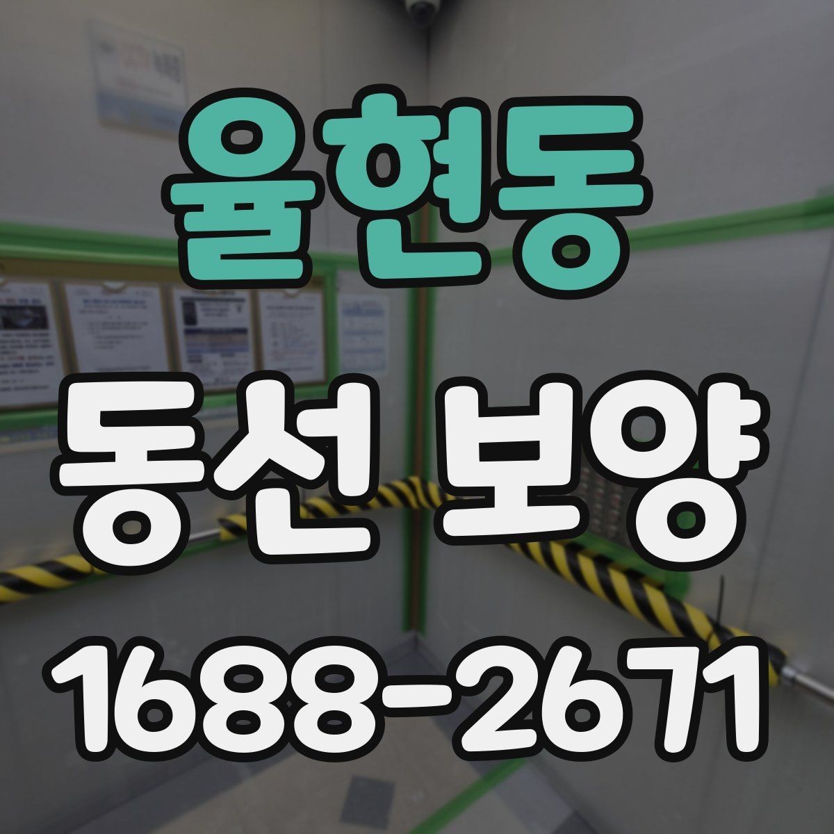 율현동 동선 보양 후 보수와 관리가 필요한 경우