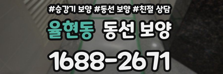율현동 동선 보양
