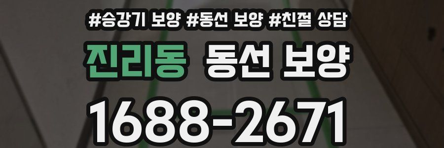 진리동 동선 보양