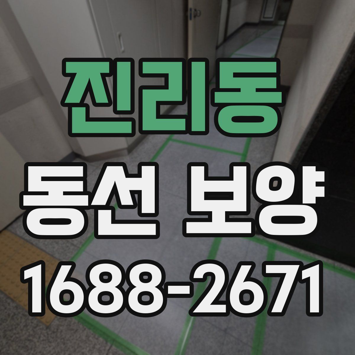 진리동 동선 보양