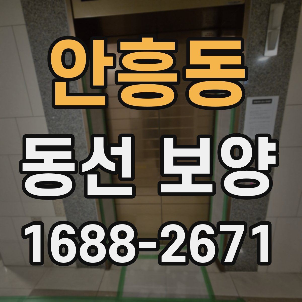 안흥동 동선 보양 현장에 맞춘 보호 대책 세우기