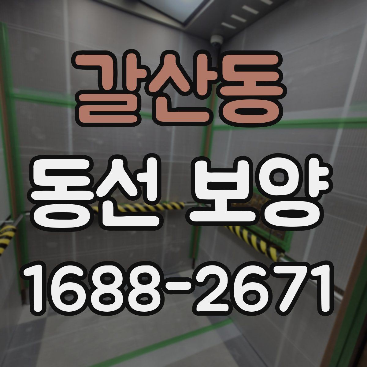 갈산동 동선 보양 비용과 품질의 균형 잡기
