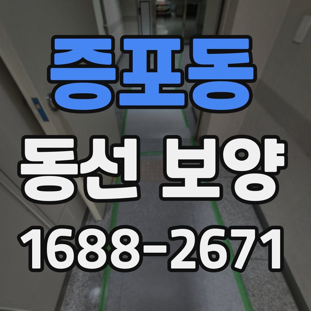증포동 동선 보양 일정이 꼬이지 않도록 조율하는 법