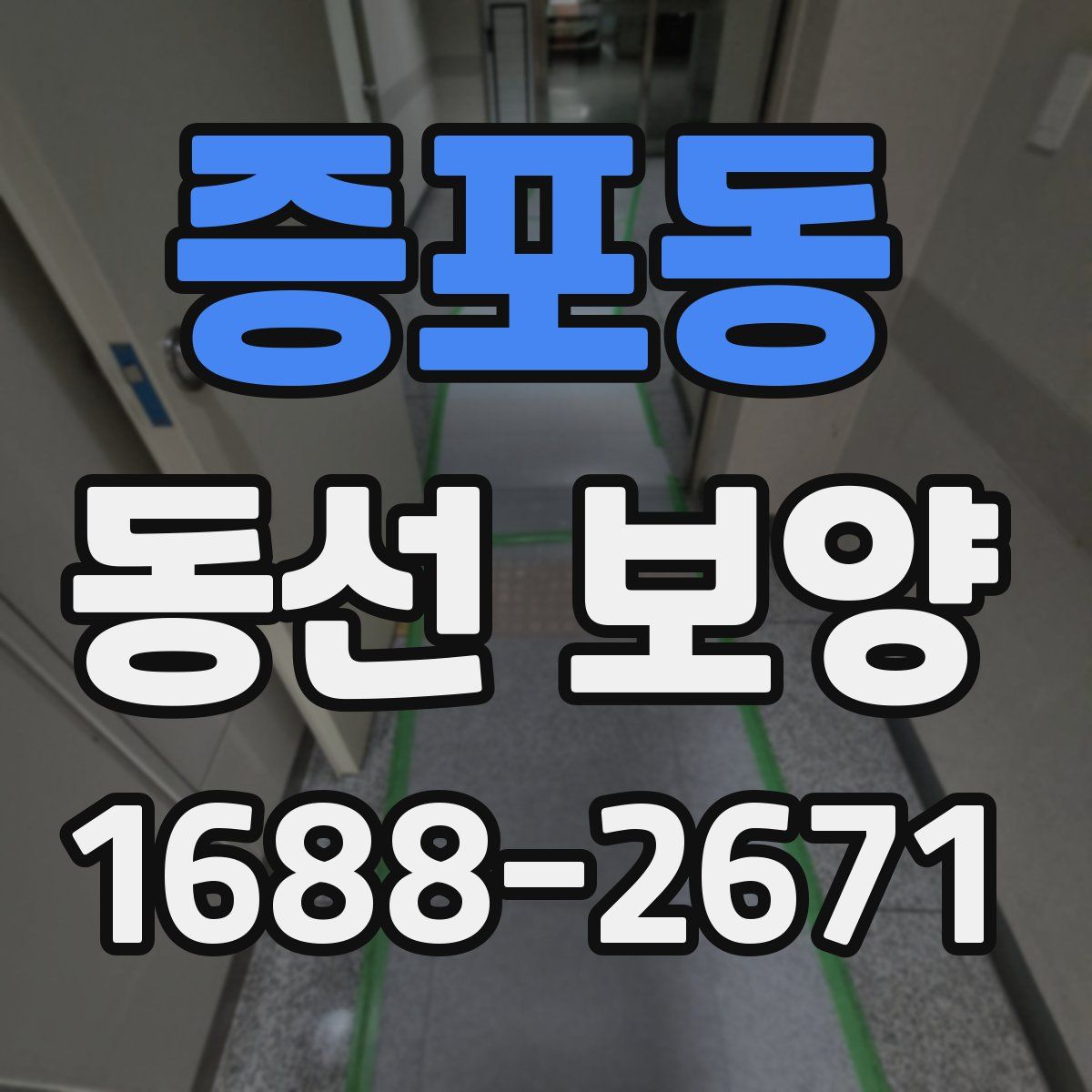 증포동 동선 보양