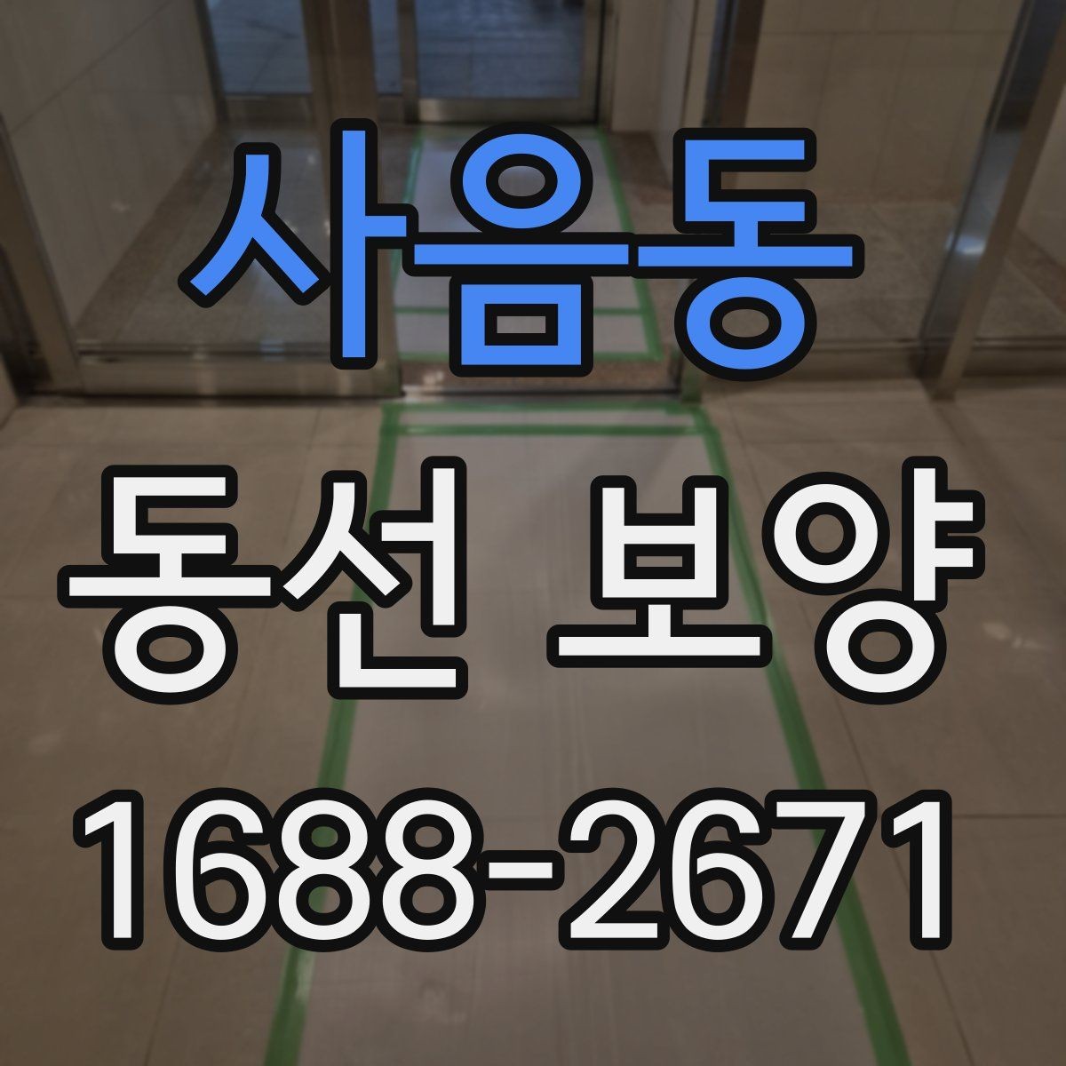사음동 동선 보양 작업을 깔끔하게 마무리하는 법