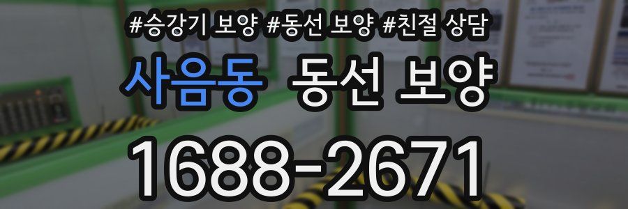 사음동 동선 보양