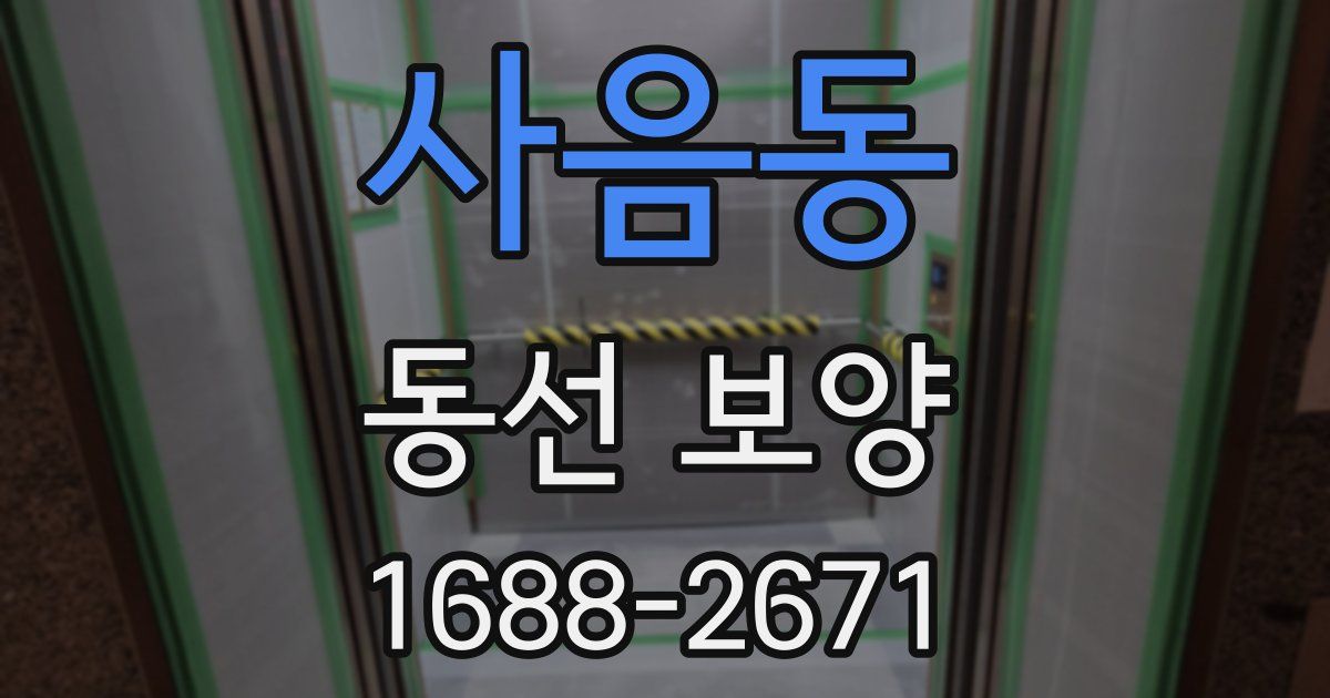 사음동 동선 보양