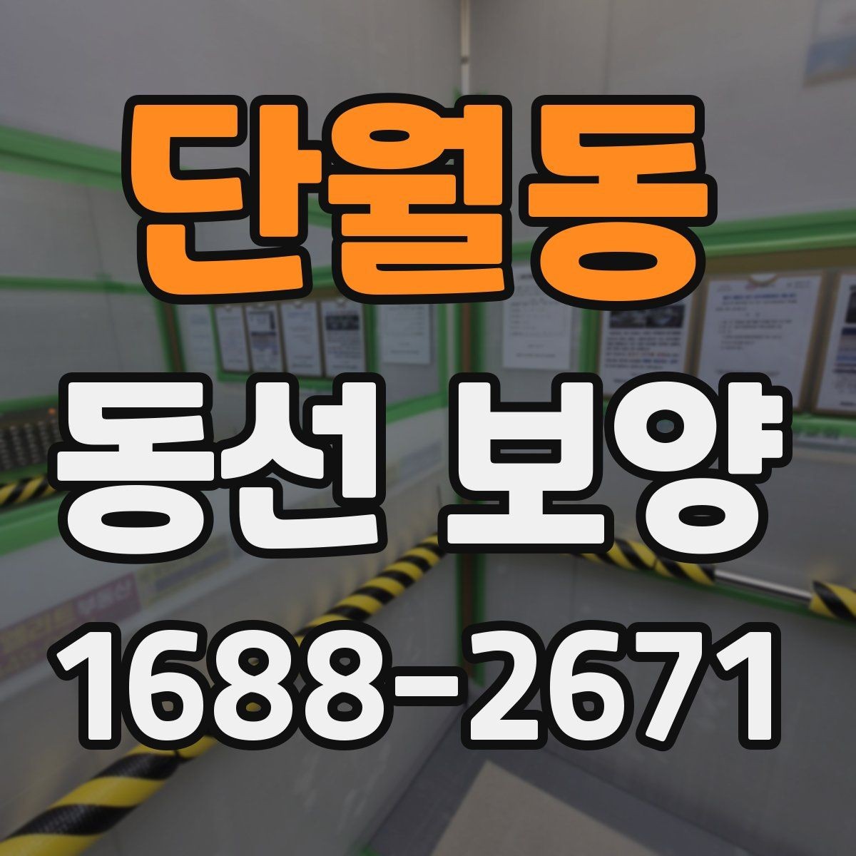 단월동 동선 보양 현장 관리에서 놓치기 쉬운 점