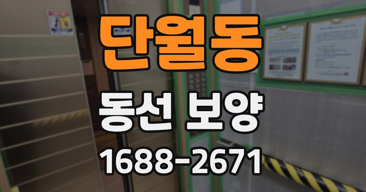 단월동 동선 보양