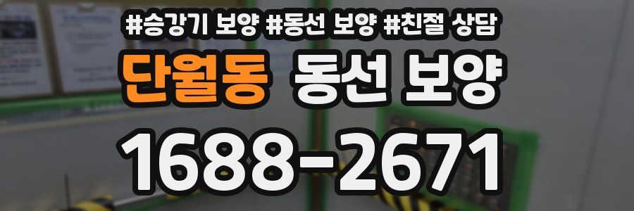 단월동 동선 보양