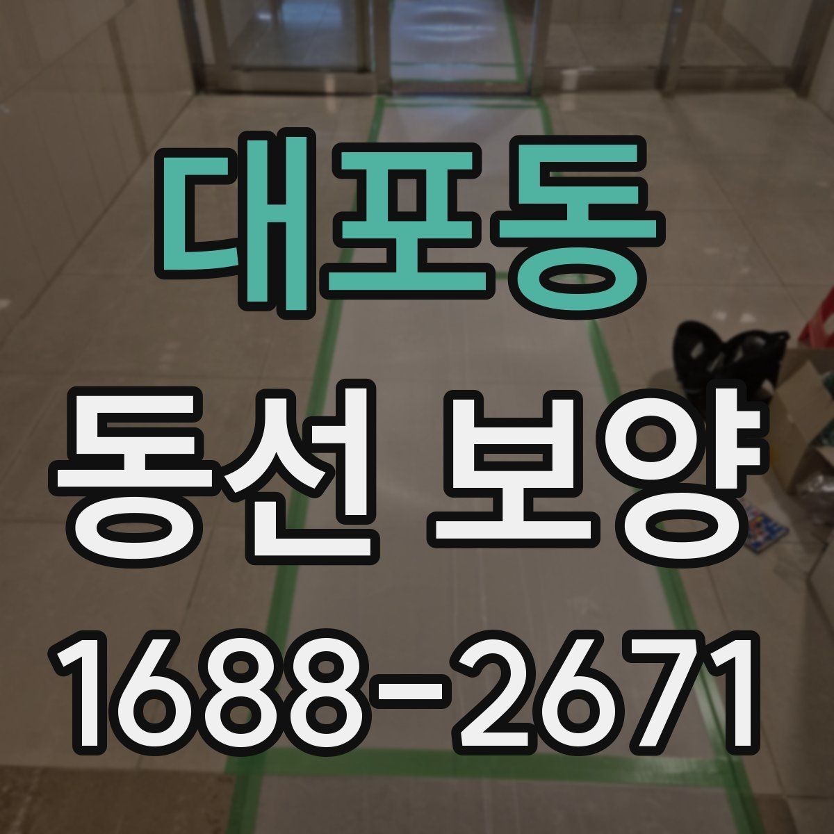 대포동 동선 보양 방법을 상황별로 나누어 보기