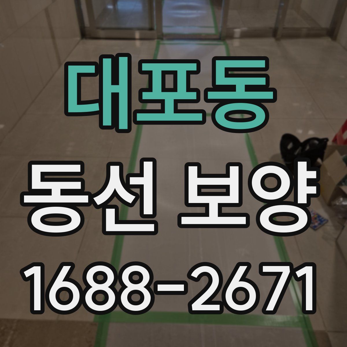 대포동 동선 보양