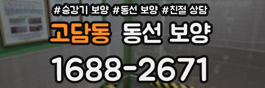 고담동 동선 보양