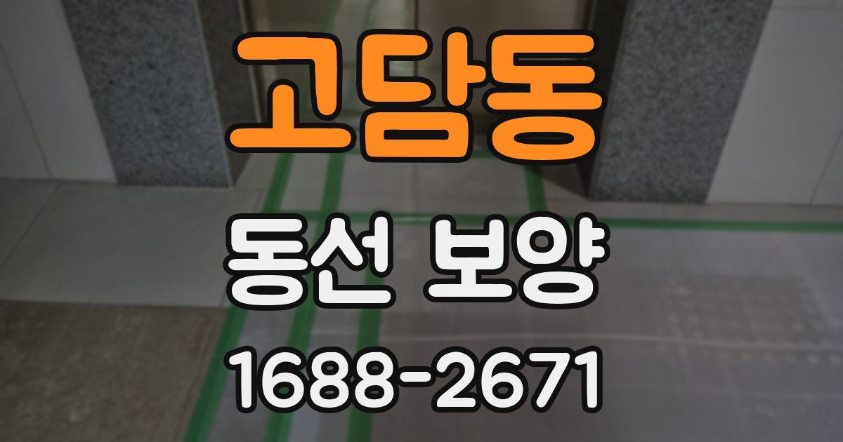 고담동 동선 보양