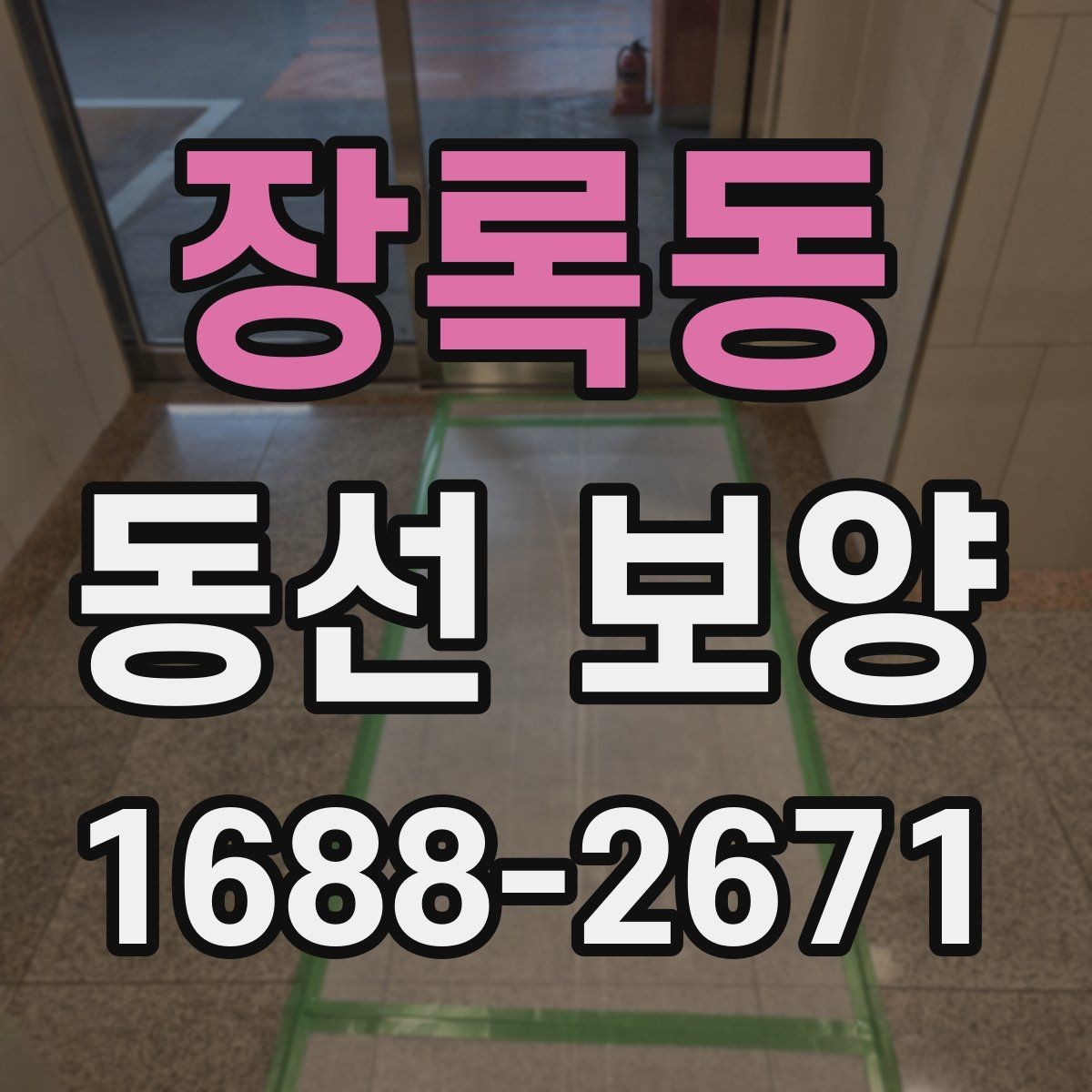 장록동 동선 보양 비용과 범위가 달라지는 상황