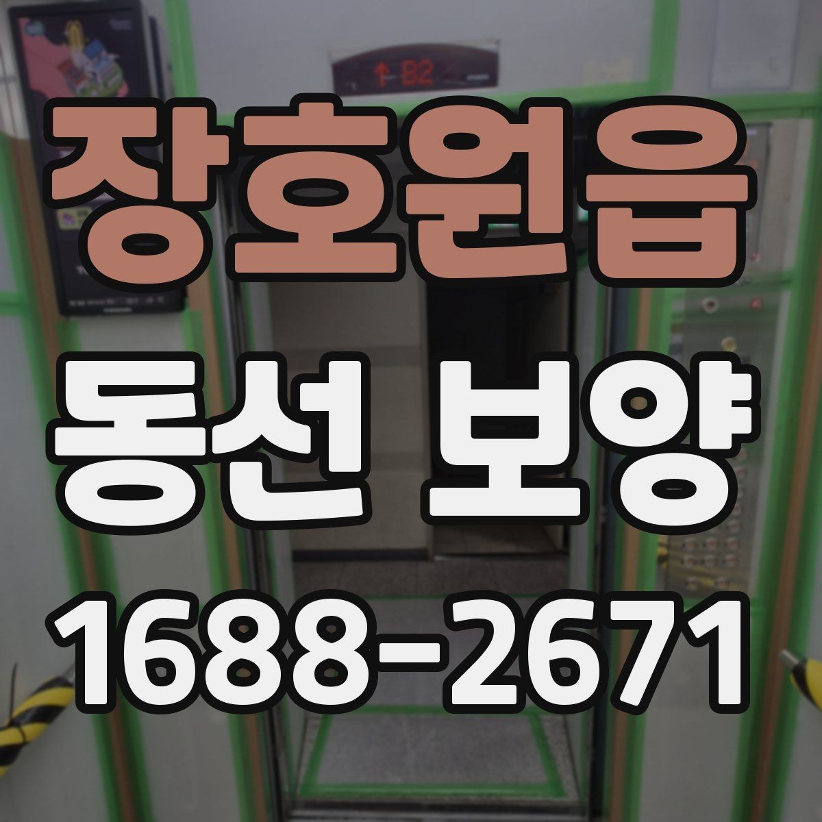 장호원읍 동선 보양 작업이 필요한 이유와 작업 흐름