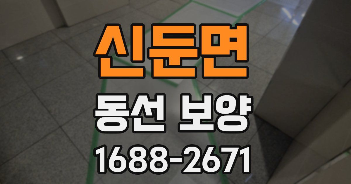 신둔면 동선 보양