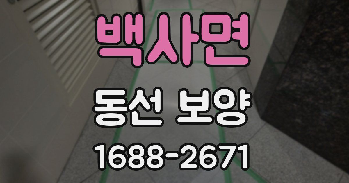 백사면 동선 보양
