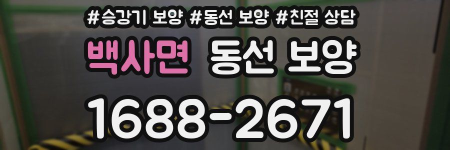 백사면 동선 보양