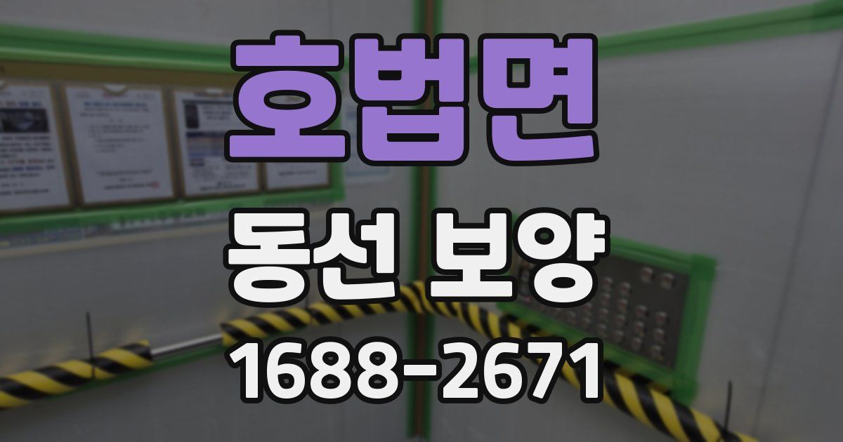 호법면 동선 보양