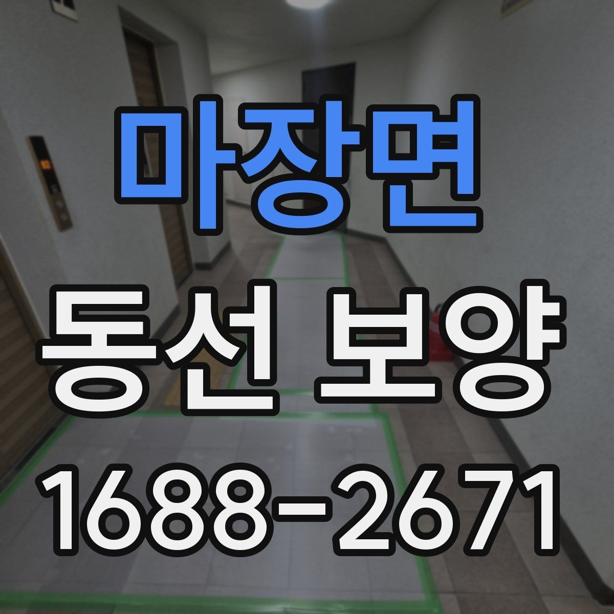 마장면 동선 보양 적용 범위를 정하는 실무 기준