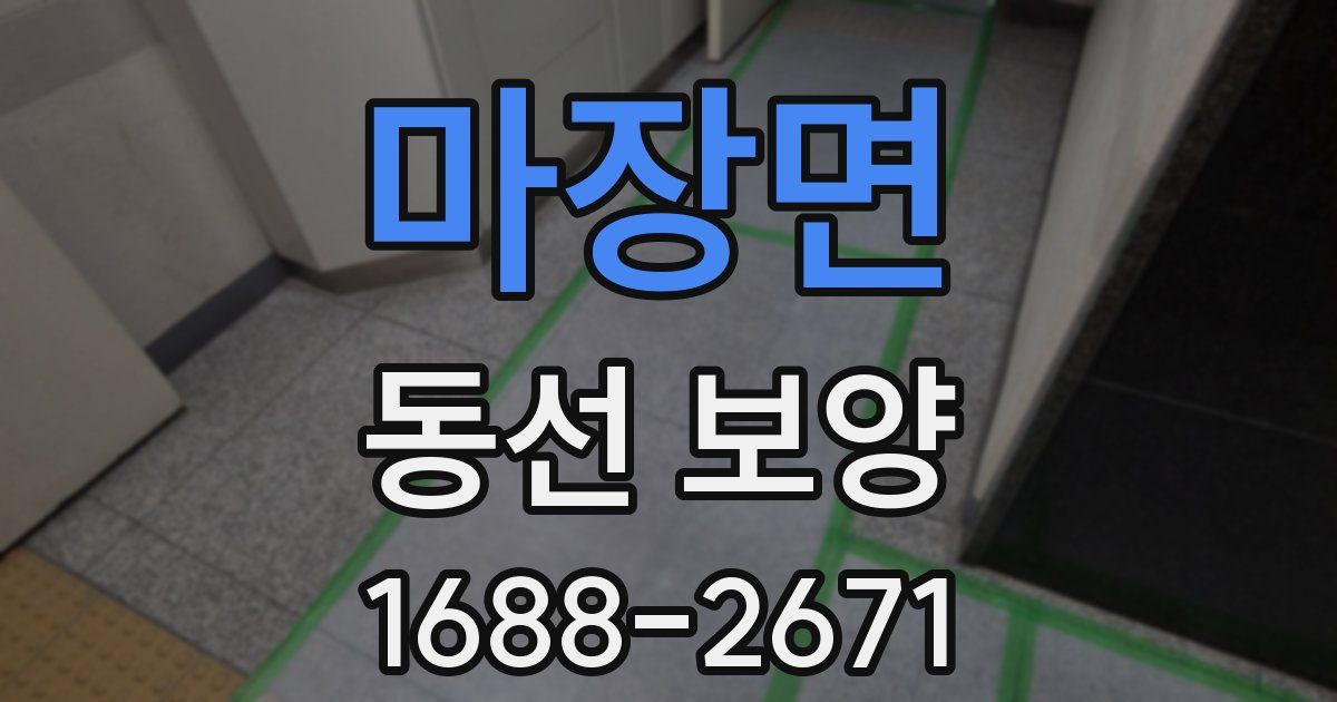 마장면 동선 보양