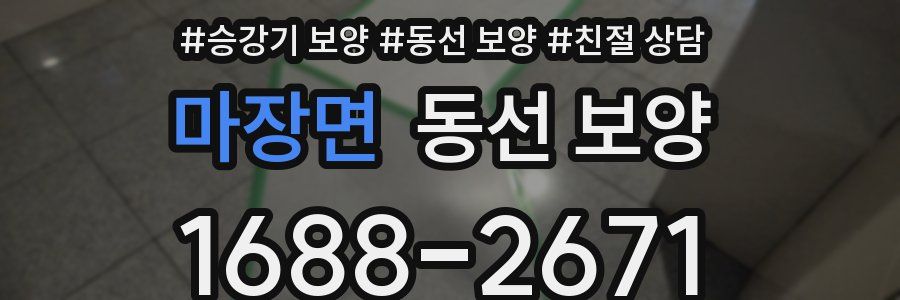 마장면 동선 보양