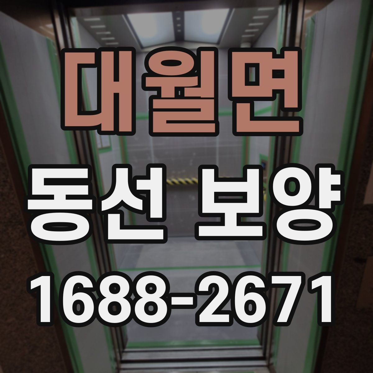 대월면 동선 보양 자재 고를 때 보는 핵심 포인트