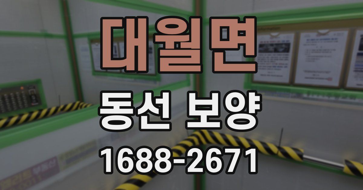 대월면 동선 보양
