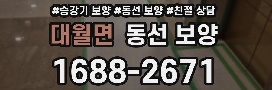 대월면 동선 보양
