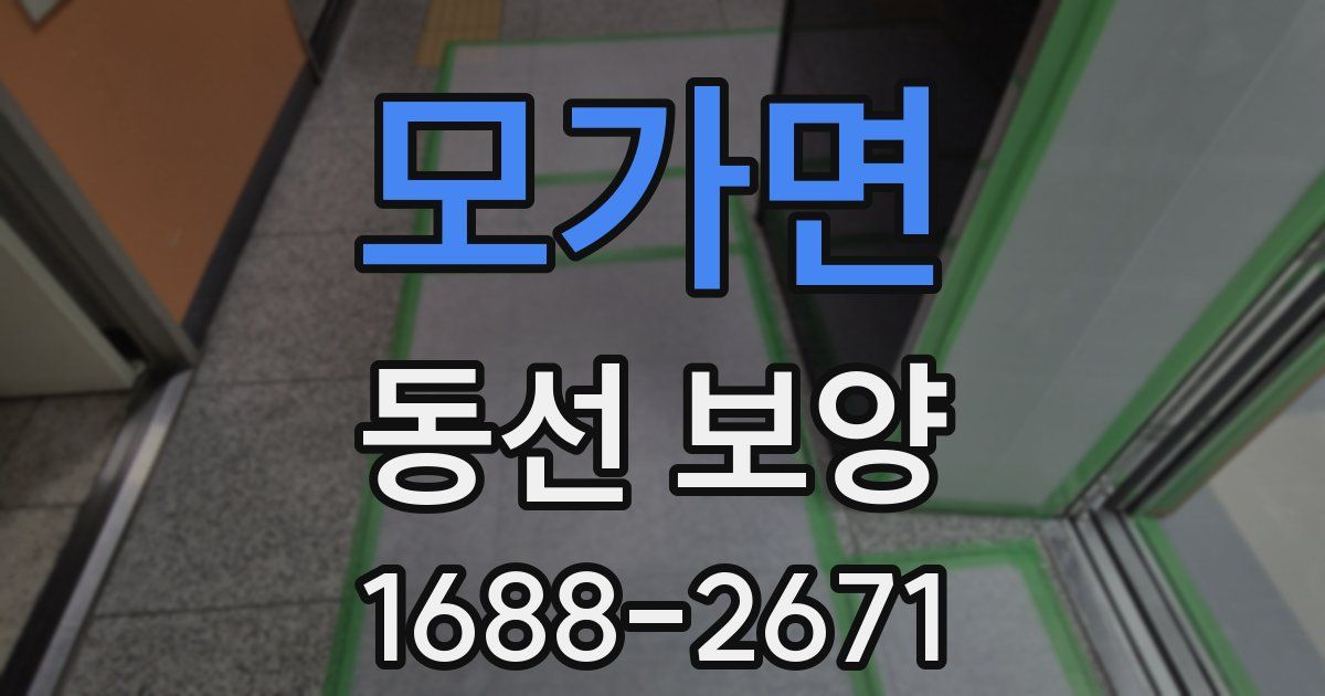 모가면 동선 보양