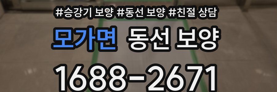 모가면 동선 보양