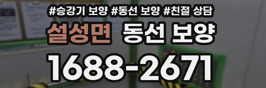 설성면 동선 보양