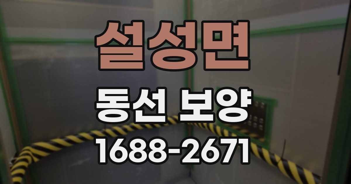 설성면 동선 보양