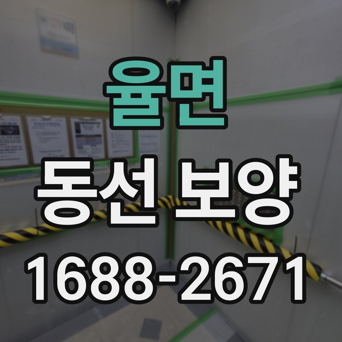 율면 동선 보양 진행 전 협의해야 할 사항