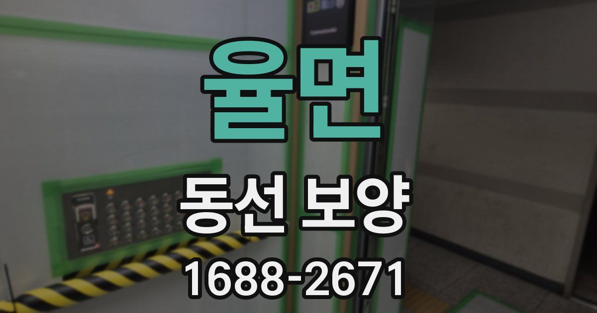 율면 동선 보양