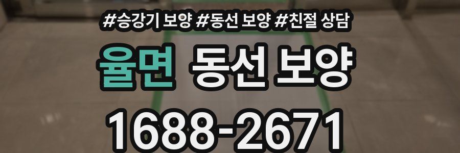 율면 동선 보양
