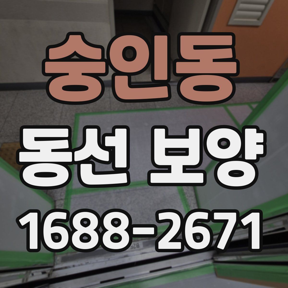 숭인동 동선 보양 적용 범위를 정하는 실무 기준