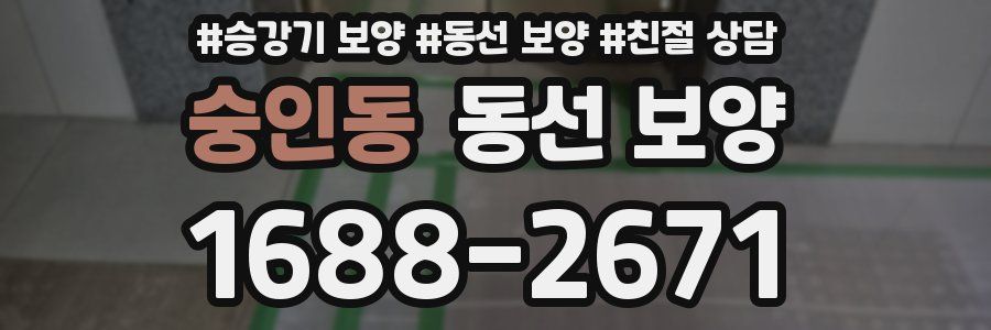 숭인동 동선 보양