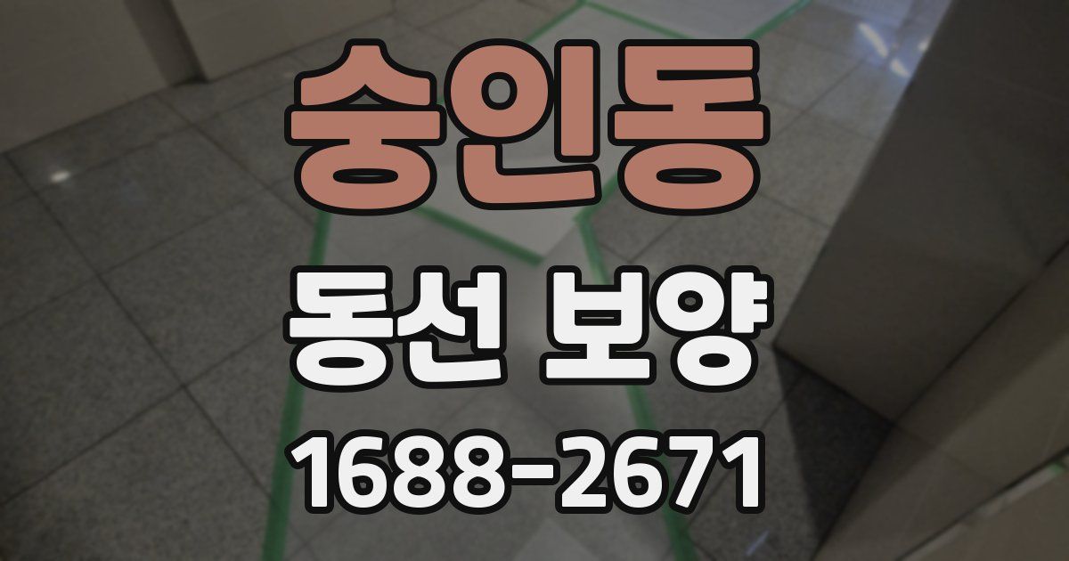 숭인동 동선 보양